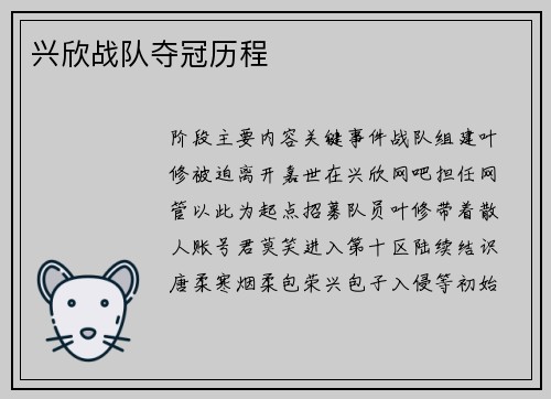 兴欣战队夺冠历程